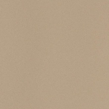 Leonardo Icon ICON BEIGE 60 keramisch graniet 60x60 cm, Italië - foto 1 - foto 1