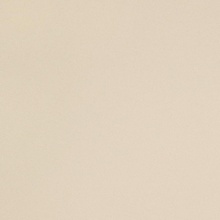 Leonardo Icon ICON CREAM 60 keramisch graniet 60x60 cm, Italië - foto 1 - foto 1