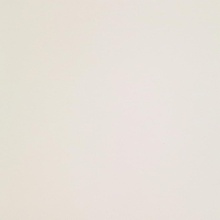 Leonardo Icon ICON WHITE 60L keramisch graniet 60x60 cm, Italië - foto 1 - foto 1