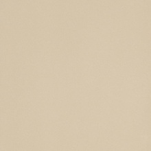 Leonardo Icon ICON ALMOND 60L keramisch graniet 60x60 cm, Italië - foto 1 - foto 1