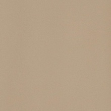 Leonardo Icon ICON BEIGE 60L keramisch graniet 60x60 cm, Italië - foto 1 - foto 1