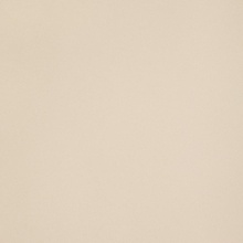 Leonardo Icon ICON CREAM 60L keramisch graniet 60x60 cm, Italië - foto 1 - foto 1