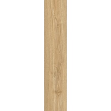 Love Tiles Heartwood С000623429 B609.0015.002_HeartwoodBeige20*100 keramisch graniet 20x100 cm, Portugal, hout - foto 1 - foto 1