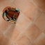 Love Tiles Legacy 30x60, неглазурованный керамогранит, Португалия, бетон - фото интерьера 6