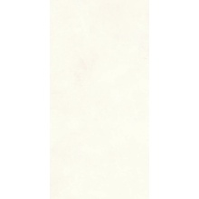 Love Tiles Spotlight С000605154 B669.0061.001_SpotlightWhiteRet30*60 kafel ścienny 30x60 cm, Portugalia - zdjęcie 1 - zdjęcie 1