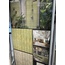Mainzu Bamboo 15x30 см, keramiek, Spanje - interieurfoto 7