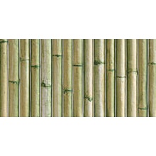 Mainzu Bamboo Green wandtegel 15x30 cm, Spanje, houtlook - foto 1 - foto 1