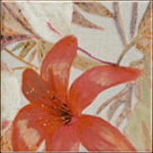 Mainzu Bangkok 15 Decorazione 15x15 cm, Spagna, nessuno - foto 1 - foto 1
