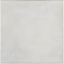 Mainzu Carino Perla Gray keramisch graniet 20x20 cm, Spanje, steen  - foto 1 - foto 1