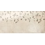 Mainzu Catania С000588771 PT01995_MINERVA CIERRE 15x30 wall tile 15x30 cm, Spain - photo 1 Mainzu Catania С000588771 PT01995_MINERVA CIERRE 15x30 wall tile 15x30 cm, Spain - photo 1