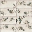 Mainzu Esenzia С000585257 PT02551_FABOLA GREEN 15x30 wall tile 15x30 cm, Spain - photo 1 Mainzu Esenzia С000585257 PT02551_FABOLA GREEN 15x30 wall tile 15x30 cm, Spain - photo 1