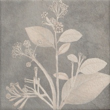 Mainzu Soft Kamelia Grey gres porcelánový 15x15 cm, Španělsko, jine - fotografie 1 - foto 1