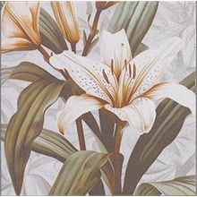 Mainzu Technical Soft Secrets White Dekor 20x20 cm, Spanien, inget - foto 1 - foto 1