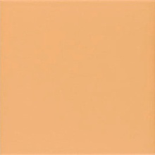 Mainzu Technical Soft PT03670 Tangerine granitkeramik 20x20 cm, Spanien, inget - foto 1 - foto 1