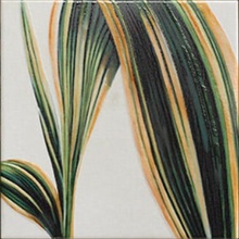 Mainzu Tikida 20 Decor 20x20 cm, Spain - photo 1 - photo 1