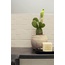 Marazzi Chalk 25x76 см, keramiek, Italië, beton - interieurfoto 11