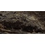 Marazzi Allmarble С000408773 MMAK_AllmarbleFrappucinoLux porcelain tile 60x120 cm, Italy, other types of marble - photo 1 Marazzi Allmarble С000408773 MMAK_AllmarbleFrappucinoLux porcelain tile 60x120 cm, Italy, other types of marble - photo 1