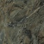Marazzi Allmarble С000581134 MELV_AllmarbleVerdeBorgognaNaturalRt60X60 porcelain tile 60x60 cm, Italy, other types of marble - photo 1