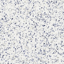 Marazzi Frammento С000596027 MN1L_FrammentoMacroAzzurroR10Rt60X60 keramisch graniet 60x60 cm, Italië, terrazzo - foto 1 - foto 1