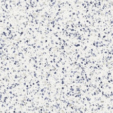 Marazzi Frammento MN1L Macro Azzurro R10 RT keramisch graniet 60x60 cm, Italië, terrazzo - foto 1 - foto 1