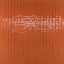Marazzi Luz MFLL Aragosta Lux gres porcelanato 5,3x30 cm, Itália - foto 1 - foto 1
