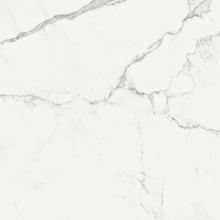 Marazzi Marbleplay С000546040 M4LF_MarbleplayStatuariettoLxRt58X58 gres porcellanato 58x58 cm, Italia, statuario - foto 1 - foto 1
