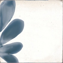 Marazzi Rice M9JA Bianco Decoro Blossom Lux Decoração 15x15 cm, Itália, nenhum - foto 1 - foto 1
