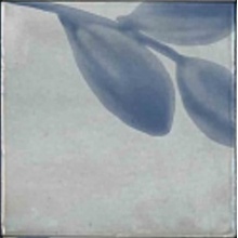 Marazzi Rice M9JD Grigio Decoro Blossom Lux Decoração 15x15 cm, Itália, nenhum - foto 1 - foto 1