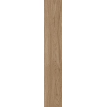 Margres Bare & Bold B25212BB3PAB Bare&Bold 212Bb 3Bare Dark Beige Nr 20*120 posliinilaatta 20x120 cm, Portugali, puunaytteinen - kuva 1 - kuva 1