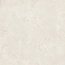 Margres Linea Evolution С000614281 B251212LNE1A_LineaEvolutionWhite1212Len1Amaciado120*120 Feinsteinzeug 120x120 cm, Portugal, andere steinarten - Foto 1