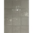 Micro Typic С000560818 MITY03__dust azulejo de pared 10x10 cm, Italia - foto 1