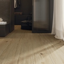 Monocibec Ashley 23x100, porcelanato esmaltado, Itália, árvore - foto de interior 1 - foto 1