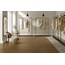 Monocibec Ashley 23x100, porcelanato esmaltado, Itália, árvore - foto de interior 12
