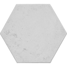 Monopole Pompeia С000521494 Pompeia Blanco keramisk granitt 20x24 cm, Spania, under kotto - foto 1 - foto 1