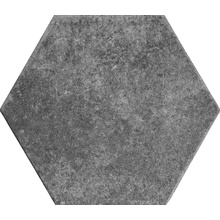 Monopole Pompeia С000521498 Pompeia Gris keramisk granitt 20x24 cm, Spania, under kotto - foto 1 - foto 1