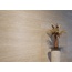 Museum Arte 50x100, porcelanato não esmaltado, Espanha, travertino - foto de interior 6