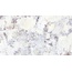 Museum Artic С000610375 40736_ARTIC WHITE SP/100X180/R porcelain tile 100x180 cm, Spain, granite - photo 1 Museum Artic С000610375 40736_ARTIC WHITE SP/100X180/R porcelain tile 100x180 cm, Spain, granite - photo 1