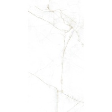 Museum Dual С000539169 31741_DUAL WHITE/60X120/EP keramisk granitt 60x120 cm, Spania, andre marmortyper - foto 1 - foto 1
