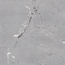 Museum Sublime С000576478 36250_SUBLIME THUNDER SP/100X100/R porcelain tile 100x100 cm, Spain, granite - photo 1