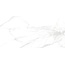 Museum Torano С000446664 22011_TORANO BIANCO/60x120/EP porcelain tile 60x120 cm, Spain, calacatta - photo 1