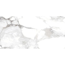 Museum Haute С000546901 30996__39558 HAUTE WHITE/60X120/EP keramisk granitt 60x120 cm, Spania, andre marmortyper - foto 1 - foto 1