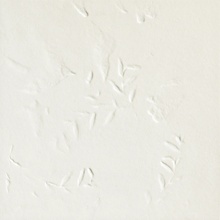 Mutina Chymia С000460014 GAC04_chymia impronta white 30x30 gres porcelánový 30x30 cm, Itálie - fotografie 1 - foto 1