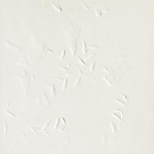 Mutina Chymia GAC04 Impronta White Decoratie 30x30 cm, Italië - foto 1 - foto 1