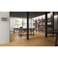 Naxos Authentic 20x120, porcelanato esmaltado, Itália, árvore - foto de interior 11