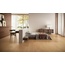 Naxos Authentic 20x120, porcelanato esmaltado, Itália, árvore - foto de interior 4