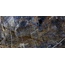 Naxos Serenade С000590785 127709_DropsLev+Ret60X120 gres porcelánový 60x120 cm, Itálie, ostatní druhy mramoru - fotografie 1