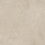 Newker Cosmo С000622413 231105_Cosmotaupe120*120 grès cérame 120x120 cm, Espagne, autres types de pierre - photo 1