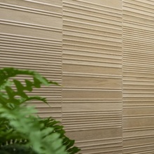 Newker Forest 20x120, porcelanato esmaltado, Espanha, árvore - foto de interior 1 - foto 3