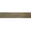 Newker Plank С000539201 152120_PlankAntislipWalnut20×120 porcelain tile 20x120 cm, Spain, wood look - photo 1