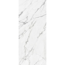 Newker Statuario С000624457 250102_StatuarioNtech.White120*280 gres porcelanato 120x280 cm, Espanha, estatuário - foto 1 - foto 1